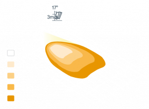 n31_model.png